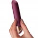 Foto 1: Miyana Classic � Vibrador de precis�o com autonomia prolongada