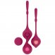 Foto 0: Deva � Conjunto de treino p�lvico
