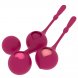 Foto 1: Deva � Conjunto de treino p�lvico