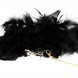 Foto 2: Feather Golden Whisper � Algemas sensoriais premium 